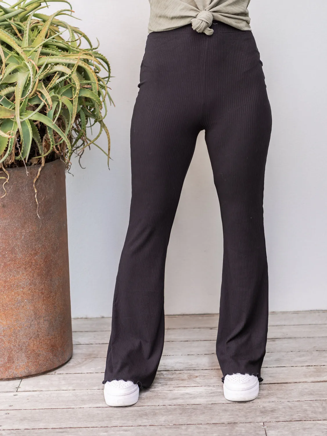 AAE Rib Flare Pants - Black