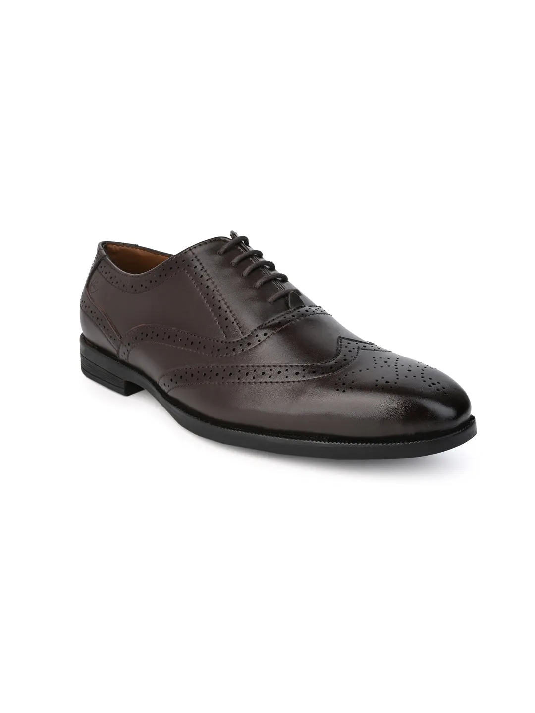 Alberto Torresi Brown formal Brogue Shoes