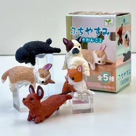 Playful Dog Blind Box